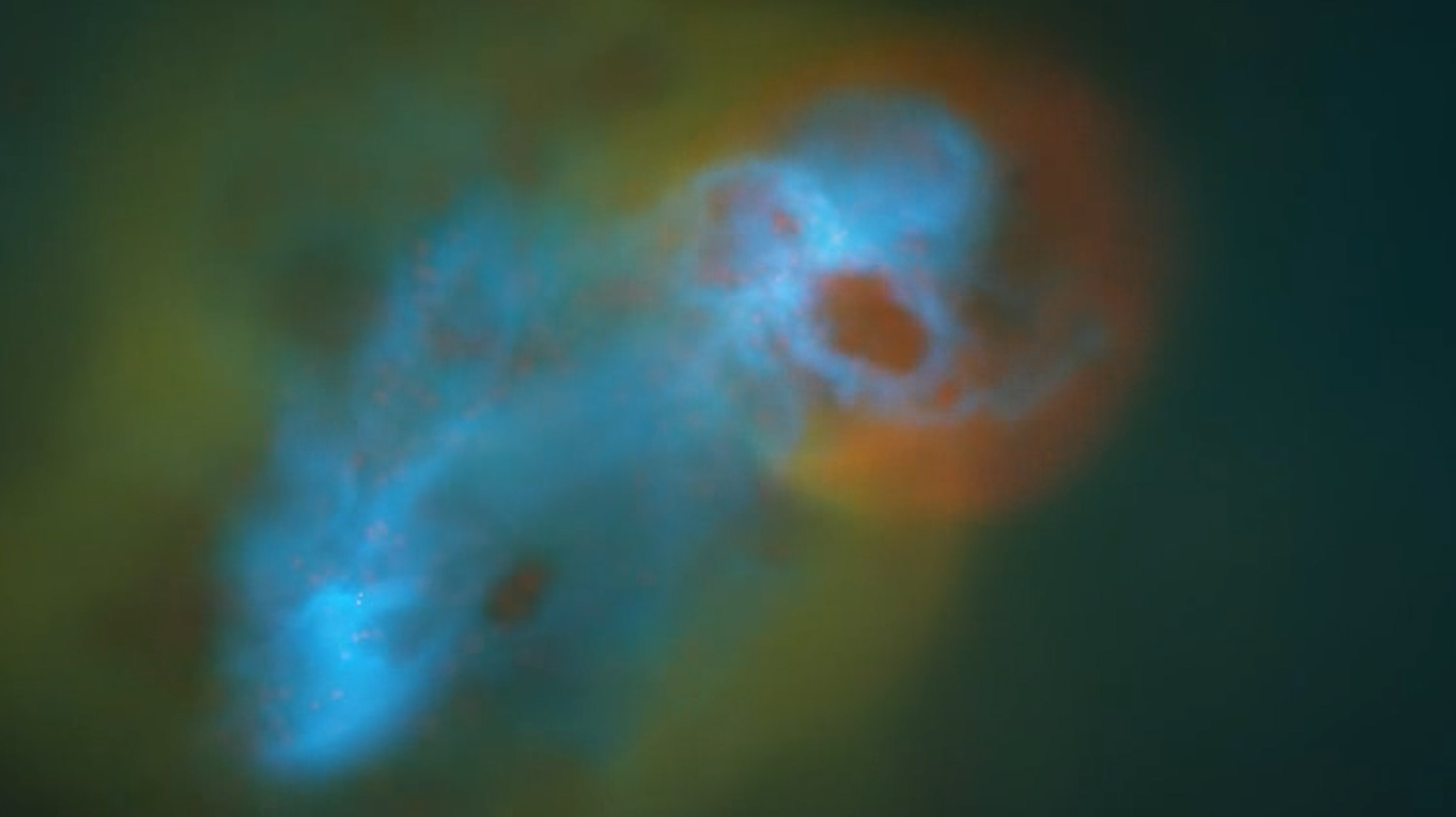 NYU Abu Dhabi's Universe of Virtual Galaxies